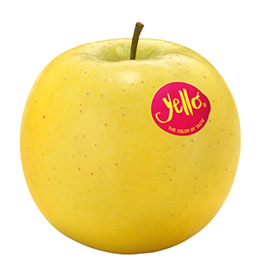 Foto de la variedad de manzana Yello-Shinano-Gold