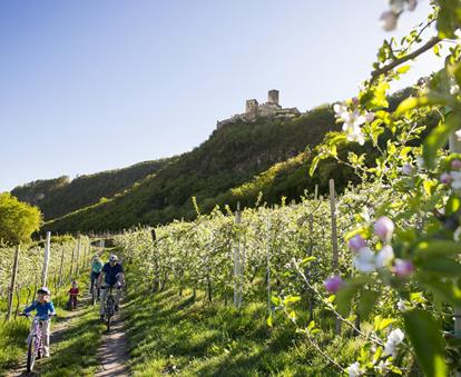 Eine vierköpfige Familie fährt im Frühling mit Fahrrädern durch eine blühende Apfelwiese, im Hintergrund ist eine Burg zu sehen.