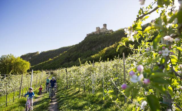 Eine vierköpfige Familie fährt im Frühling mit Fahrrädern durch eine blühende Apfelwiese, im Hintergrund ist eine Burg zu sehen.