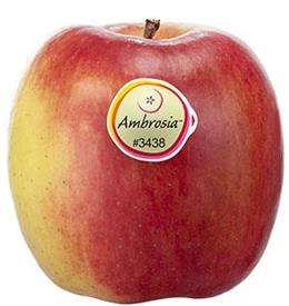 Foto de la variedad de manzana Ambrosia