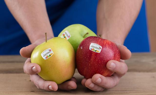 Drei verschiedene Sorten Südtiroler Apfel g.g.A. in der Hand eines Bauern, mit dem Logo von Südtiroler Apfel g.g.A. auf den Früchten.