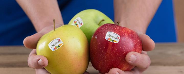 Drei verschiedene Sorten Südtiroler Apfel g.g.A. in der Hand eines Bauern, mit dem Logo von Südtiroler Apfel g.g.A. auf den Früchten.