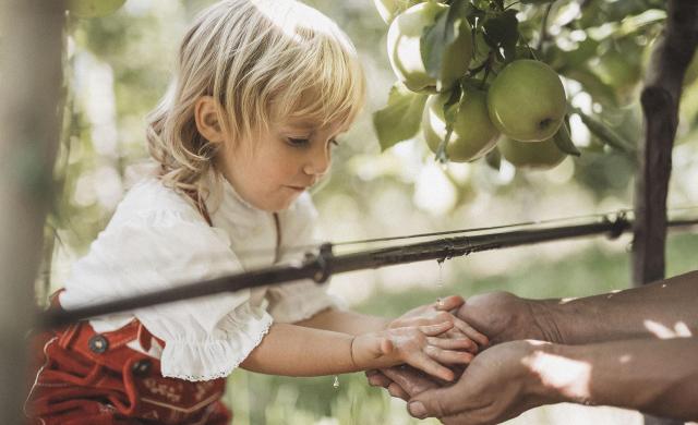 Un niño explora curiosamente las diferentes características del huerto de manzana