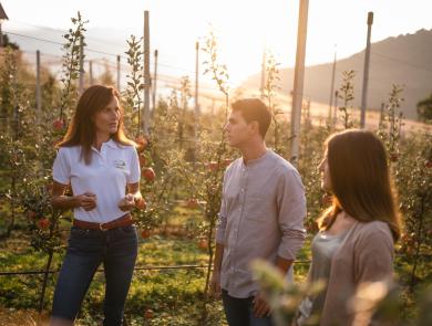 Apfelbäuerin zeigt Besuchern die Arbeit in den Apfelwiesen während einer geführten Apfelführung in Südtirol.