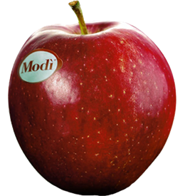 Foto de la variedad de manzana Modi