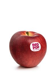 redpop