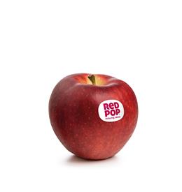 Apfelsorte RedPop