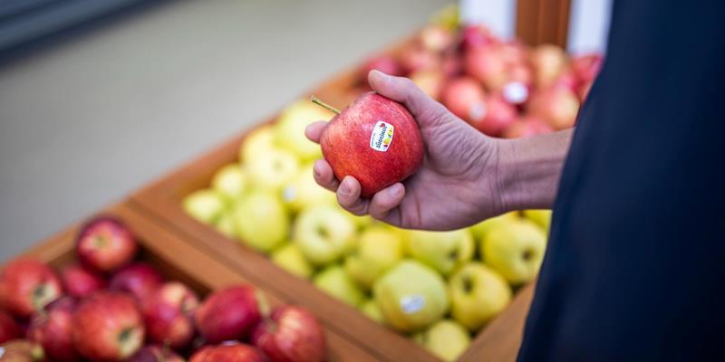 Frische Südtiroler Äpfel von der Obstgenossenschaft ROEN in Kaltern