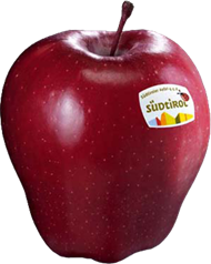 Foto der Apfelsorte Red Delicious