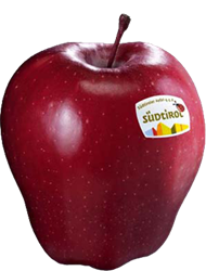 Foto der Apfelsorte Red Delicious