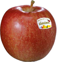 Foto der Apfelsorte Braeburn Apfel