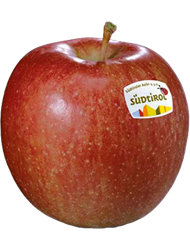 Foto der Apfelsorte Braeburn Apfel