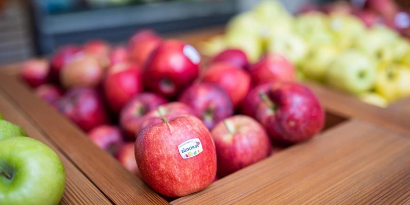 Frische Südtiroler Äpfel von der Obstgenossenschaft Alpe Laas