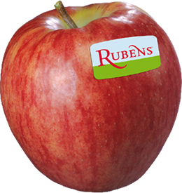 Foto de la variedad de manzana Rubens