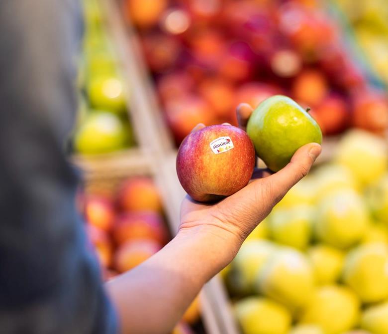 Frische Südtiroler Äpfel von der Obstgenossenschaft Texel in Naturns