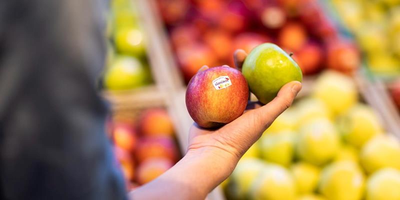 Frische Südtiroler Äpfel von der Obstgenossenschaft Texel in Naturns