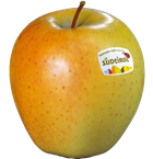 Foto der Apfelsorte Golden Delicious