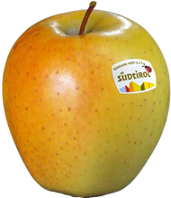 Foto der Apfelsorte Golden Delicious