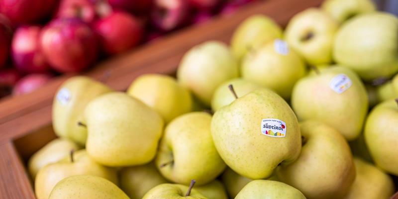 Frische Südtiroler Äpfel von der Obstgenossenschaft Mivor in Latsch