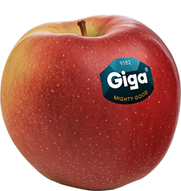 Foto de la variedad de manzana Giga