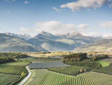 Das Apfelland - Panoramablick auf grüne Apfelwiesen, mit Hügeln und Bergen im Hintergrund in Südtirol.