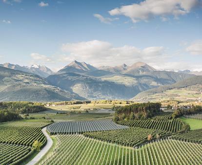 Das Apfelland - Panoramablick auf grüne Apfelwiesen, mit Hügeln und Bergen im Hintergrund in Südtirol.