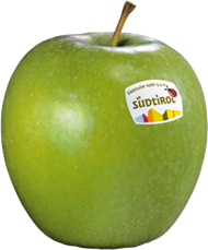 Foto der Apfelsorte Granny Smith