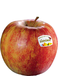 Foto de la variedad de manzana Jonagold