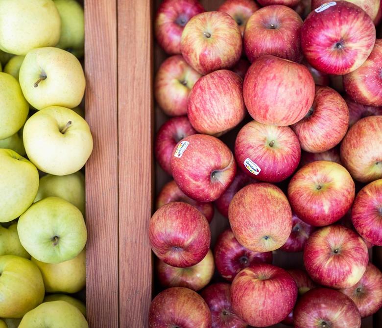 Frische Südtiroler Äpfel von der Erzeugergenossenschaft MEG in Martell