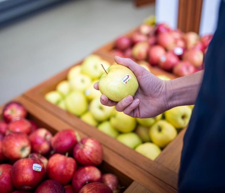 Südtiroler Äpfel aus der Obstgenossenschaft OVEG Eyrs-Laas