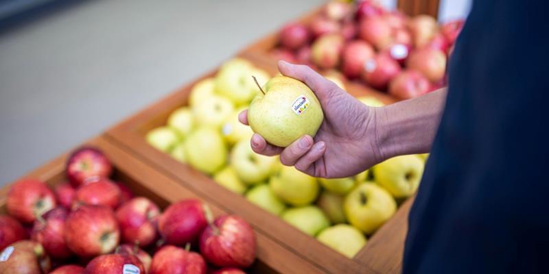 Südtiroler Äpfel aus der Obstgenossenschaft OVEG Eyrs-Laas